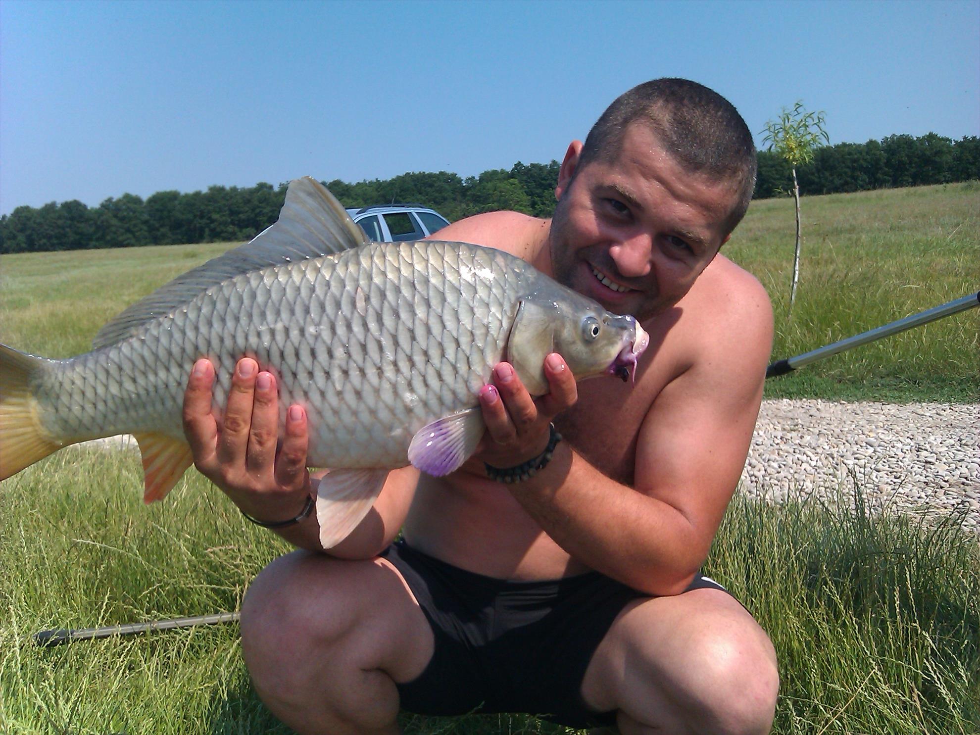 Moara Vlasiei 2013 - imag0097.jpg